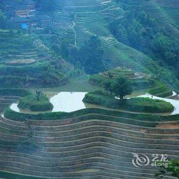 龙胜龙脊古树农家酒店提供图片