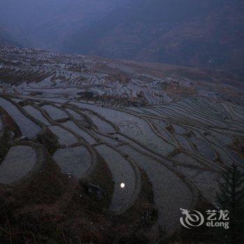 龙胜龙脊古树农家酒店提供图片