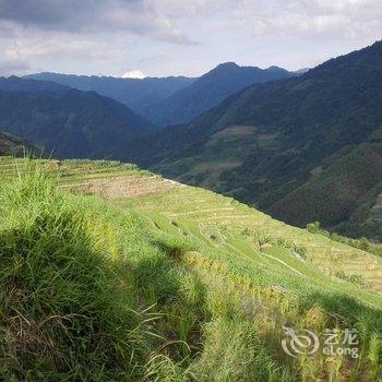 龙胜龙脊古树农家酒店提供图片