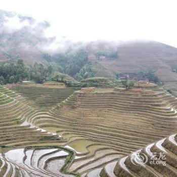 龙胜龙脊古树农家酒店提供图片