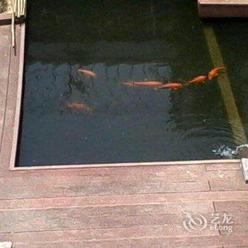 婺源山水情缘主题客栈酒店提供图片