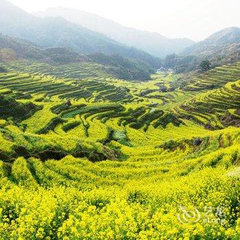 婺源山坑农庄酒店提供图片