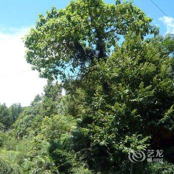 天柱山桃树湾酒店酒店提供图片