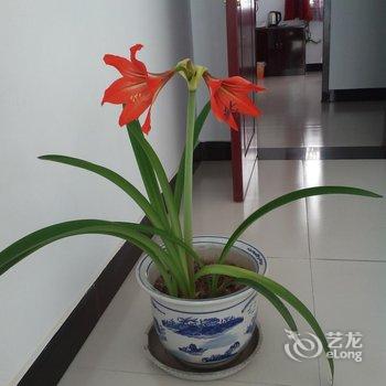 平遥古城老兵之家酒店提供图片