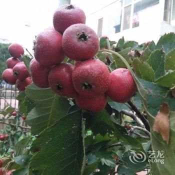 平遥古城老兵之家酒店提供图片