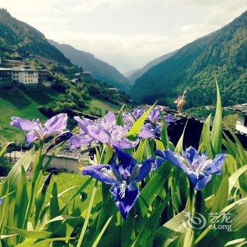 迪庆雨崩觉色酥油茶客栈酒店提供图片