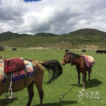 香格里拉格萨拉精品客栈酒店提供图片