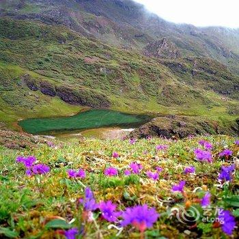 香格里拉哈巴雪山云上哈巴客栈酒店提供图片