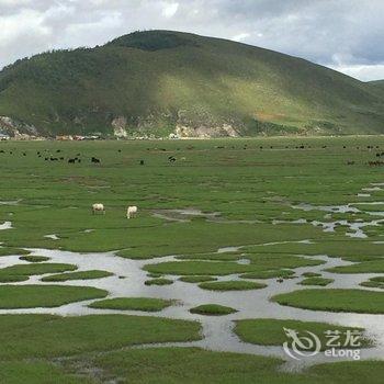 香格里拉格萨拉精品客栈酒店提供图片