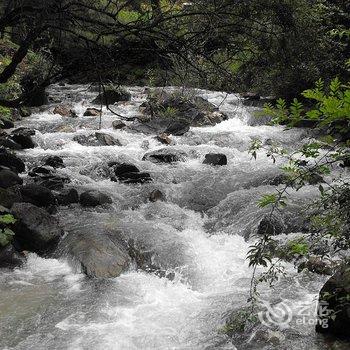 香格里拉哈巴雪山云上哈巴客栈酒店提供图片