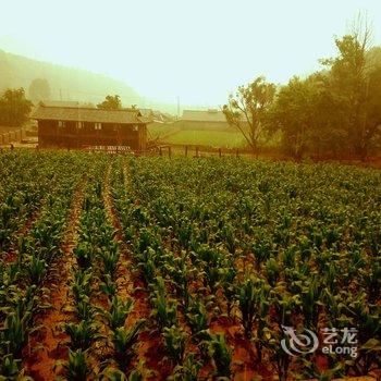 泸沽湖摩梭岁月酒店酒店提供图片