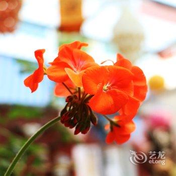 拉萨酥油客栈酒店提供图片