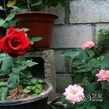 拉萨酥油客栈酒店提供图片