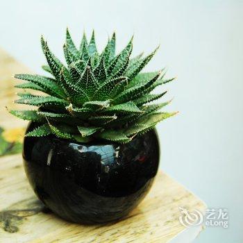 拉萨酥油客栈酒店提供图片