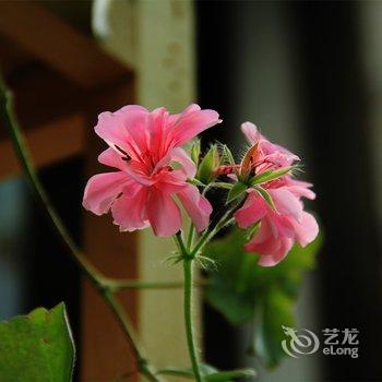 拉萨酥油客栈酒店提供图片