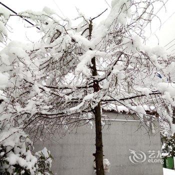 莫干山九龙山庄酒店提供图片