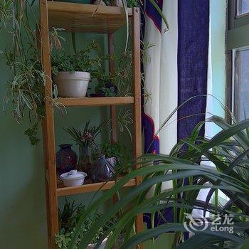 拉萨酥油客栈酒店提供图片