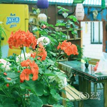 拉萨酥油客栈酒店提供图片