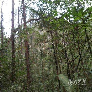 荔波茂兰好友之家客栈酒店提供图片