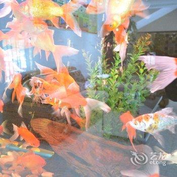 凯莱斯酒店(南昌翠园路店)酒店提供图片