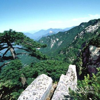 罗田大别山天堂缘宾馆酒店提供图片