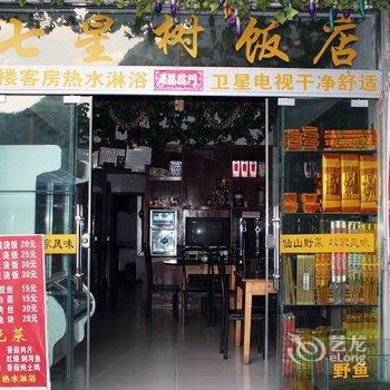 武当山七星树饭店酒店提供图片