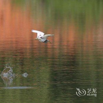 武汉蜃楼国际青年旅舍酒店提供图片