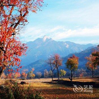 罗田大别山天堂缘宾馆酒店提供图片