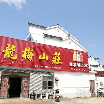 九华山龙梅山庄酒店提供图片