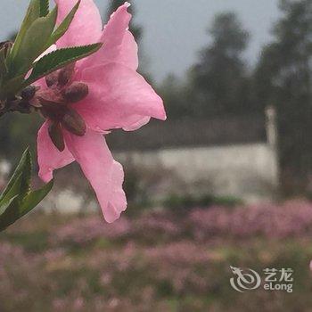 西递花园客栈酒店提供图片