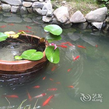 西递花园客栈酒店提供图片