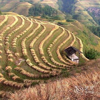 龙胜龙脊古壮人家酒店提供图片