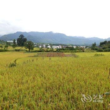 黄山羊栈岭客栈酒店提供图片