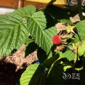 呼伦贝尔蒙古包游多多客栈酒店提供图片