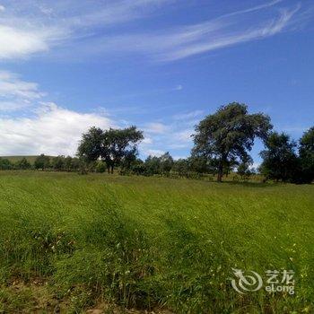 沽源天鹅湖农家院酒店提供图片