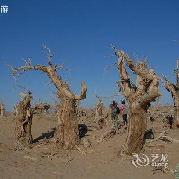 额济纳旗桂花村家庭宾馆酒店提供图片