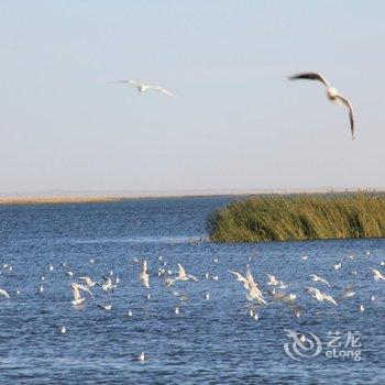 额济纳旗桂花村家庭宾馆酒店提供图片