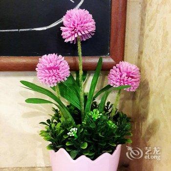 峨眉山乐途主题酒店酒店提供图片