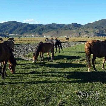 香格里拉香巴拉庄园酒店酒店提供图片