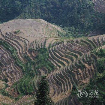 龙胜龙脊龙安旅社酒店提供图片