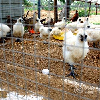 绥中东戴河三韵山庄酒店提供图片