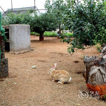 绥中东戴河三韵山庄酒店提供图片