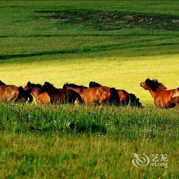 武川希拉穆仁草原度假村酒店提供图片