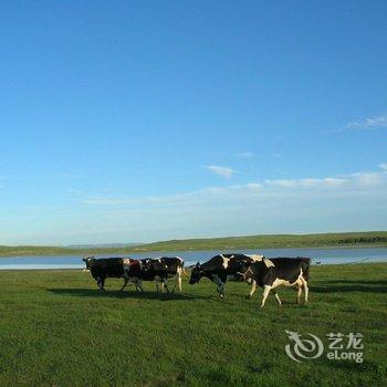 张北中都草原旺盛农庄酒店提供图片