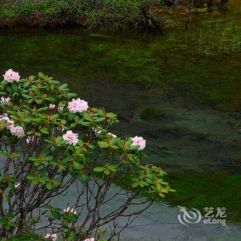 松潘龙湖湾酒店酒店提供图片