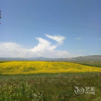 青海湖黑马河海湖之星主题宾馆酒店提供图片