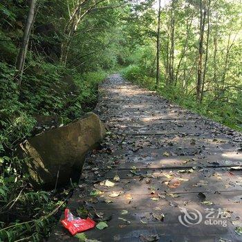 抚松县柏逸酒店酒店提供图片