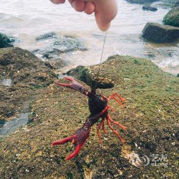 福州平潭两岸青年旅馆酒店提供图片