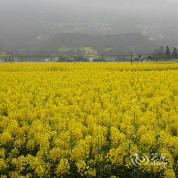 芦山龙门山庄酒店提供图片