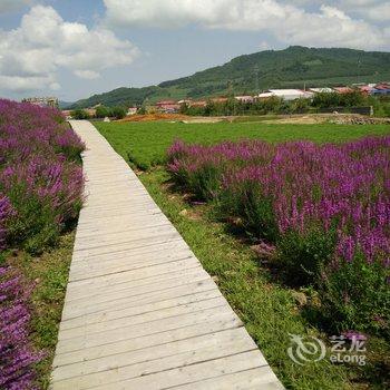 抚松县兴隆乡白桦林小宾馆酒店提供图片